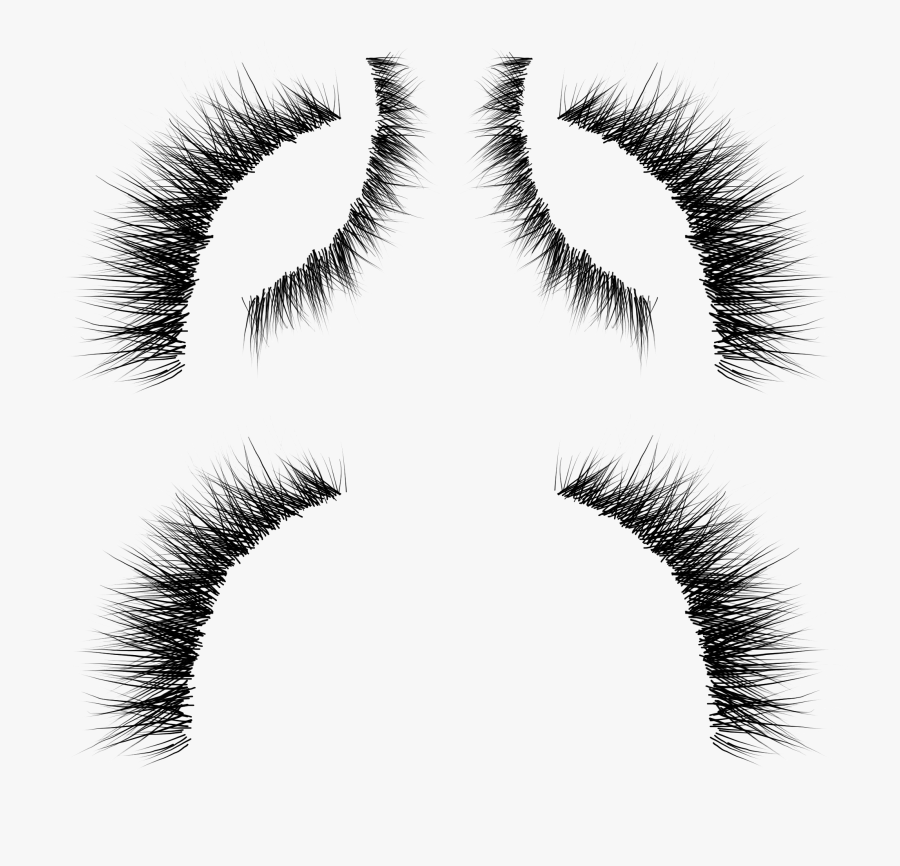 Eyelash Extensions Whiskers Eyebrow Cosmetics - Eyelashes Alpha Texture, Transparent Clipart