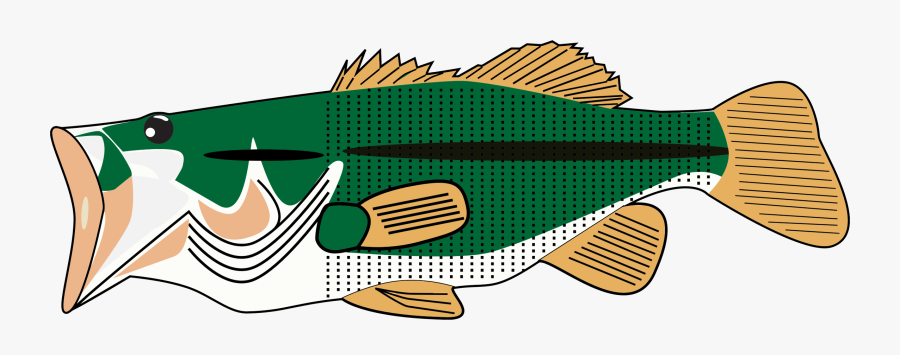 Fish,green,line - Fish Graphic Sea Bass, Transparent Clipart