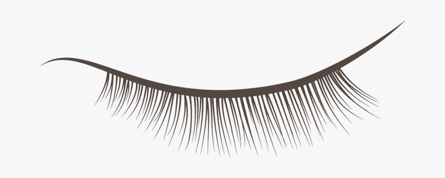 Vector Royalty Free Eyelash Clipart Extension - Eyelash Extensions, Transparent Clipart