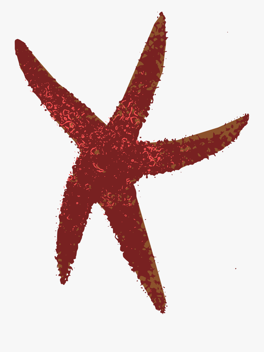 Big Image Png - Starfish, Transparent Clipart