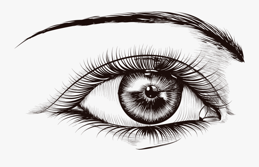 Transparent Eyes With Lashes Clipart - 卡通 眉毛, Transparent Clipart