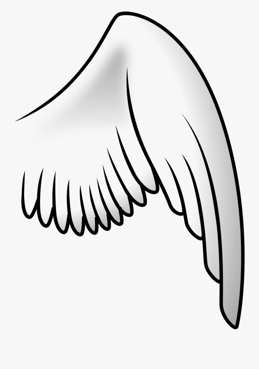 Thumb Image - Bird Wing Clip Art, Transparent Clipart