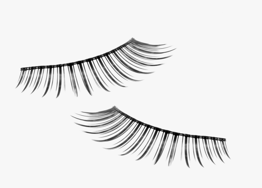 Eyelash Extensions Cosmetics Eye Shadow Stock Photography - Eyelash Extensions, Transparent Clipart