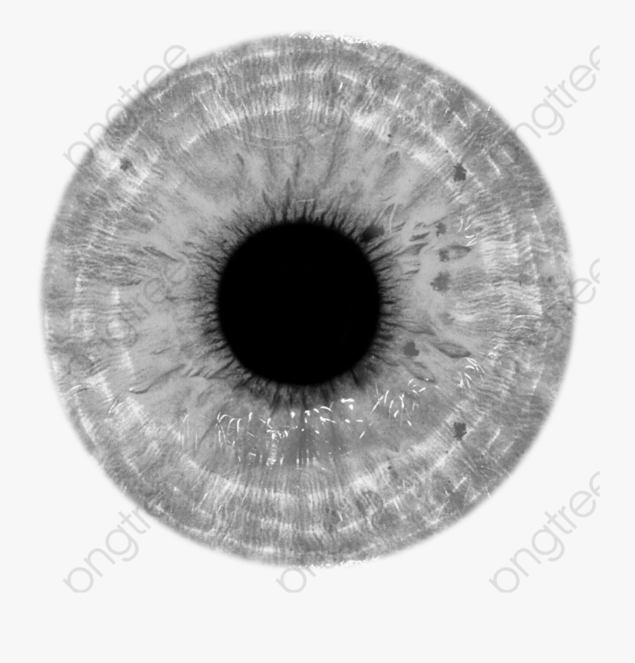Eye Png Psd - Grey Eye Lens Png, Transparent Clipart