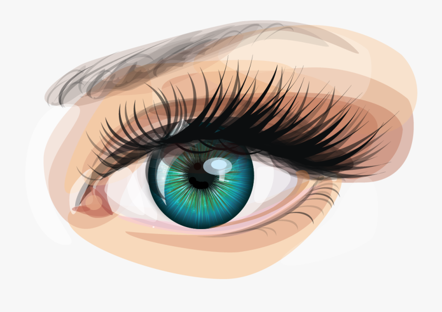 Human Eye Euclidean Vector Clip Art - Human Eye Eye Clip Art, Transparent Clipart