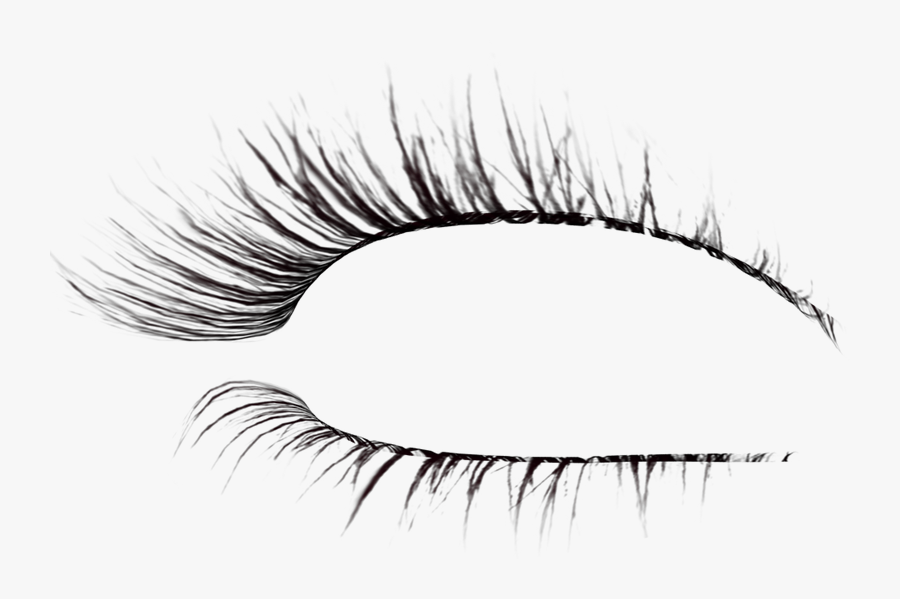 Eyelash Extensions Brush Drawing - Eyelashes Png, Transparent Clipart