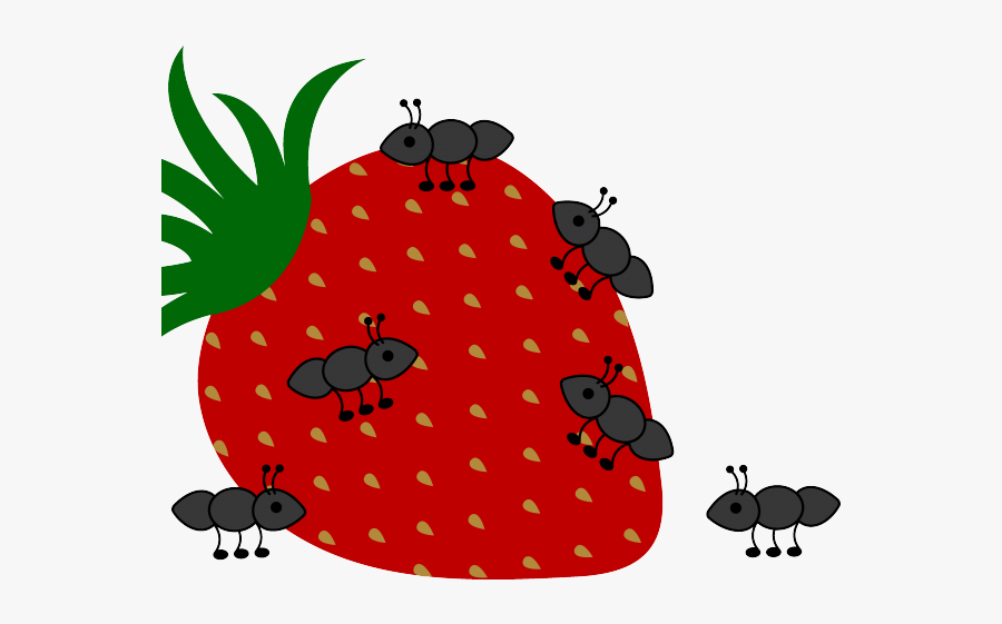 Transparent Background Picnic Ants Clipart, Transparent Clipart