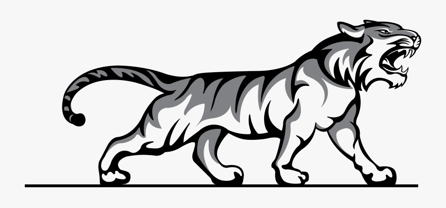Sports / Middle School Sports Home Png Stock - Tiger Body Black And White, Transparent Clipart