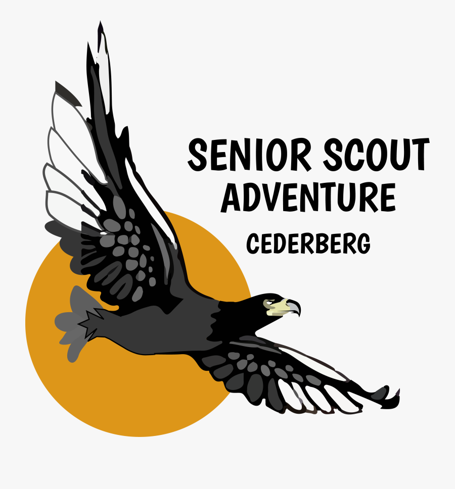 Transparent Adventurous Clipart - Cederberg Senior Scout Adventure, Transparent Clipart