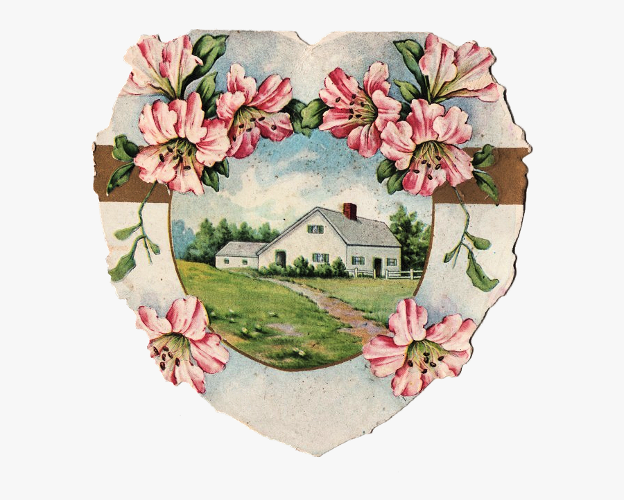 Rose, Transparent Clipart