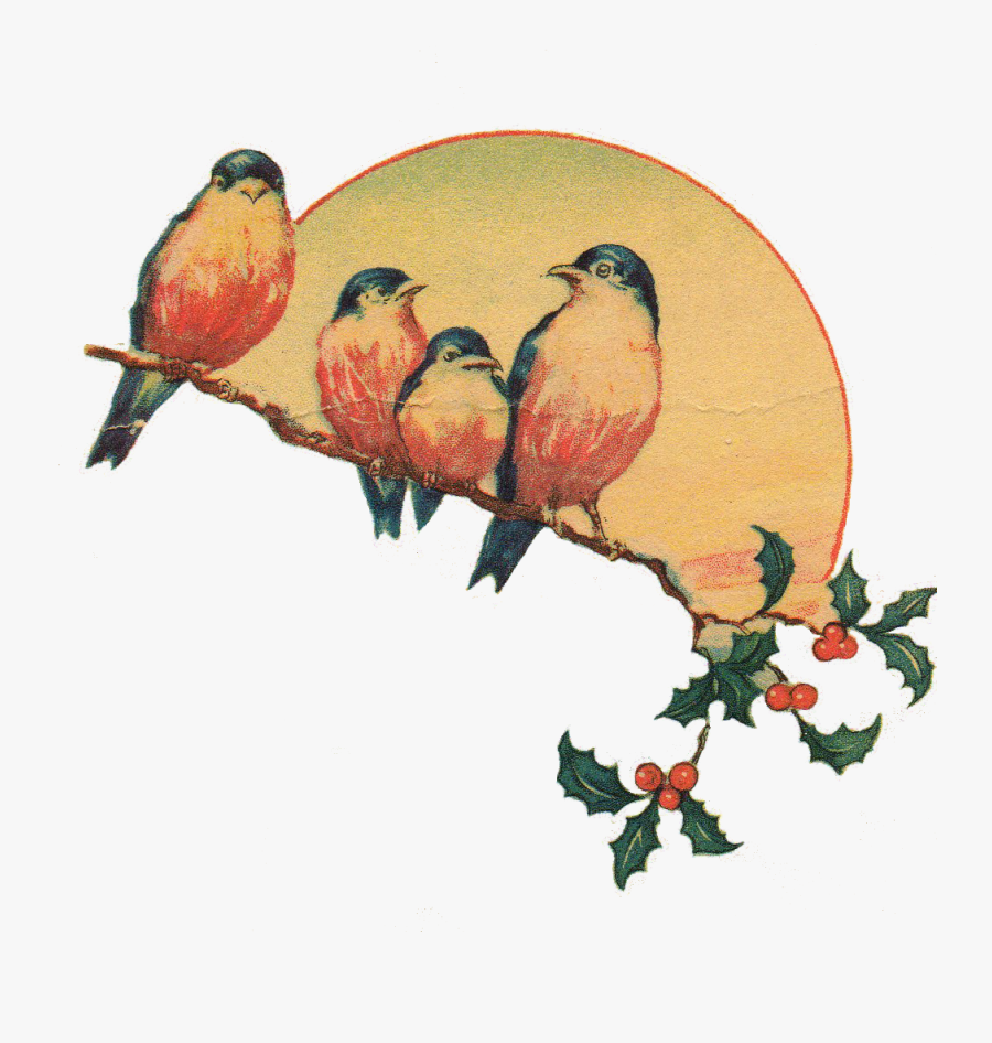 Download Png Image - Vintage Png, Transparent Clipart