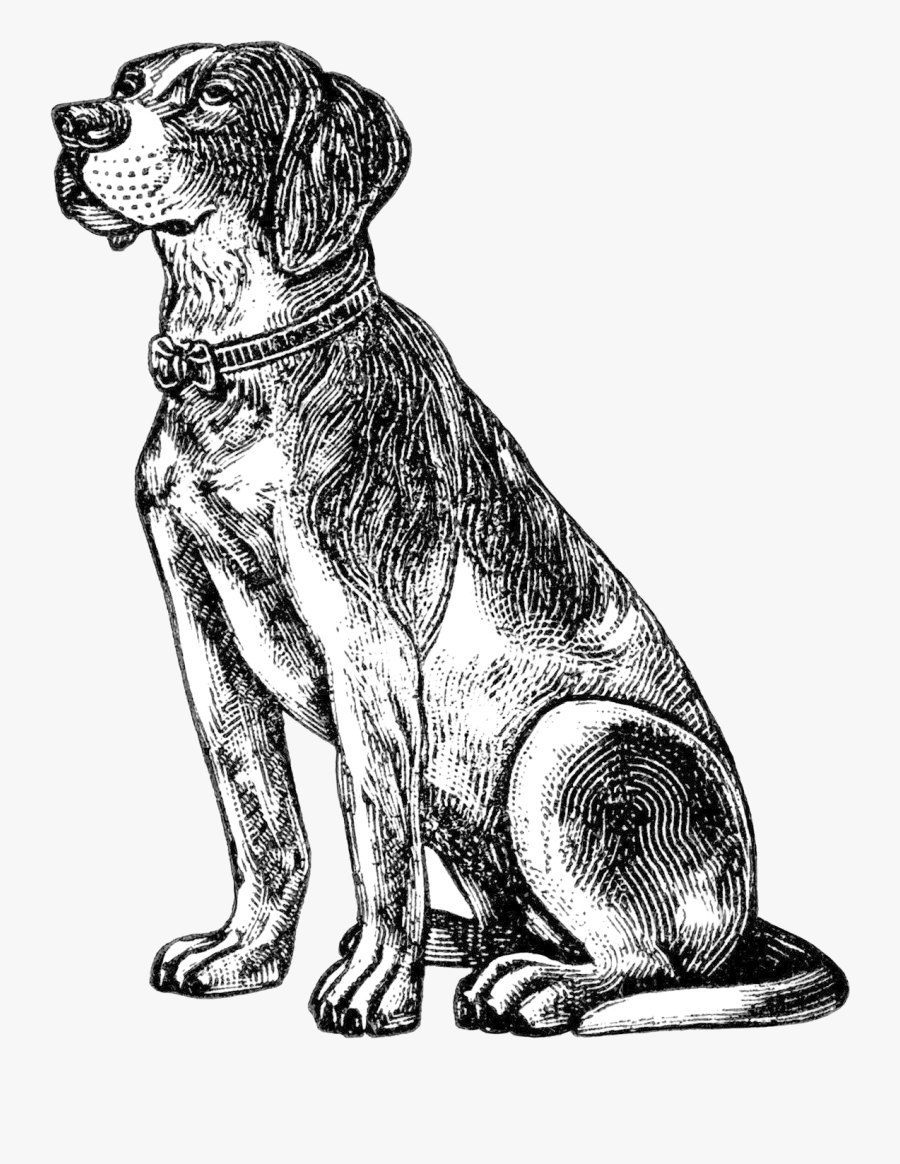 Dog Free Vintage Clip Art Old Design Shop Blog Transparent - Dog Illustration Black And White, Transparent Clipart