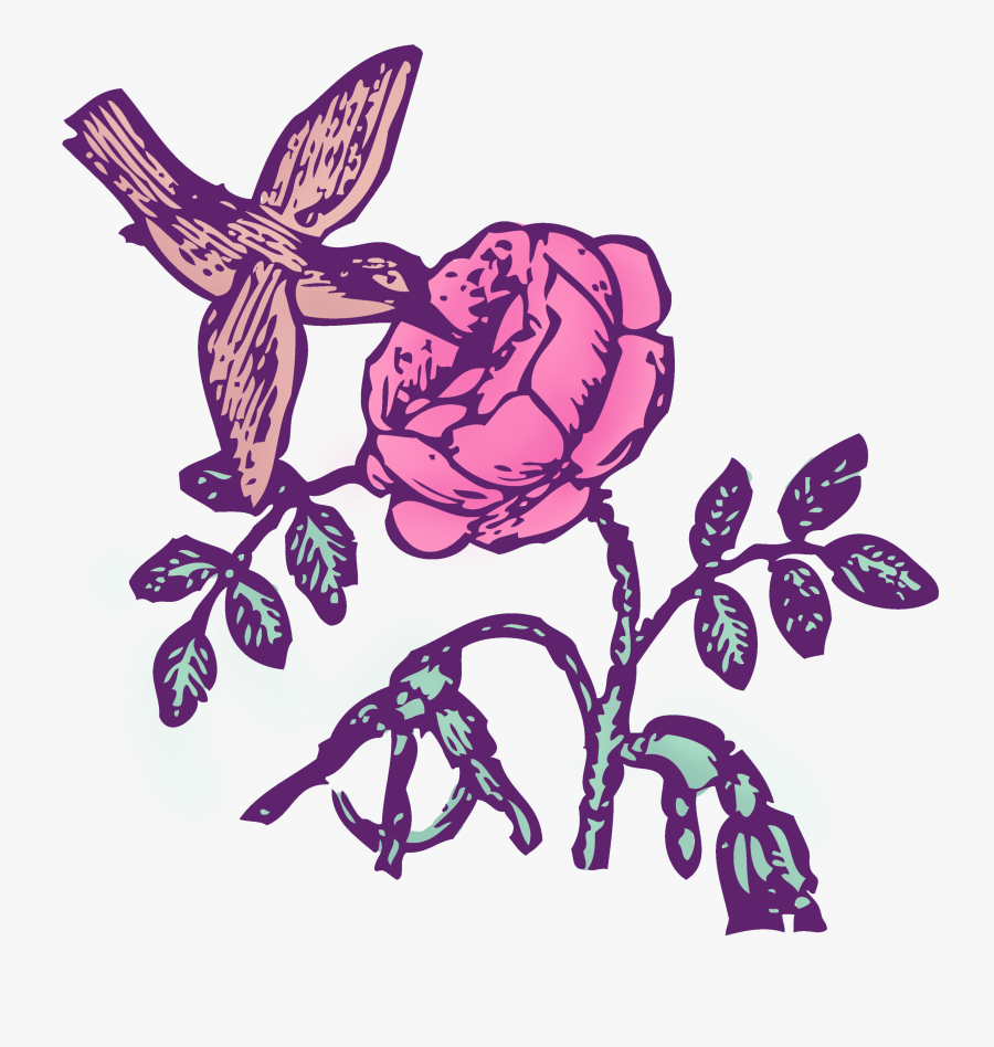 Vintage Hummingbird Rose Color Clip Art - Hummingbird Of Drawing, Transparent Clipart