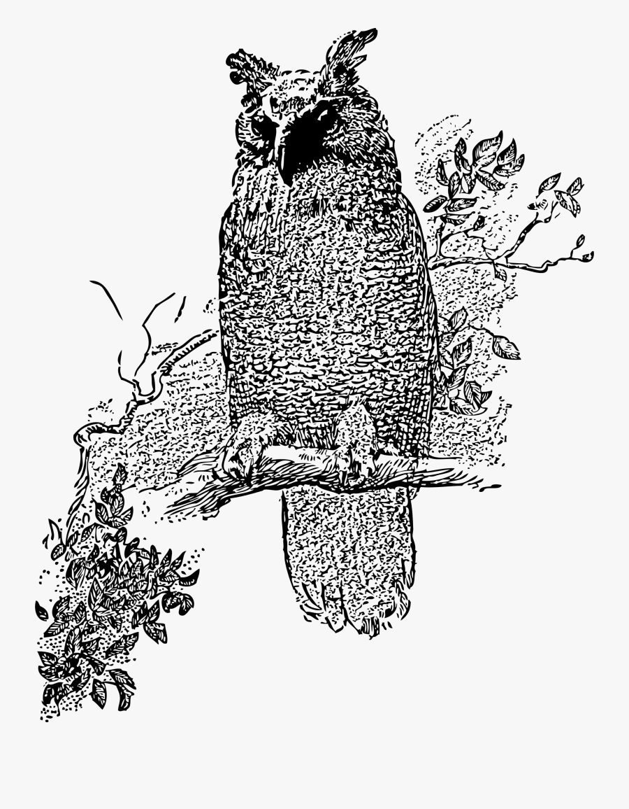 Transparent Owl Clip Art Black And White - Clipart Transparent White Owl Owl Png, Transparent Clipart