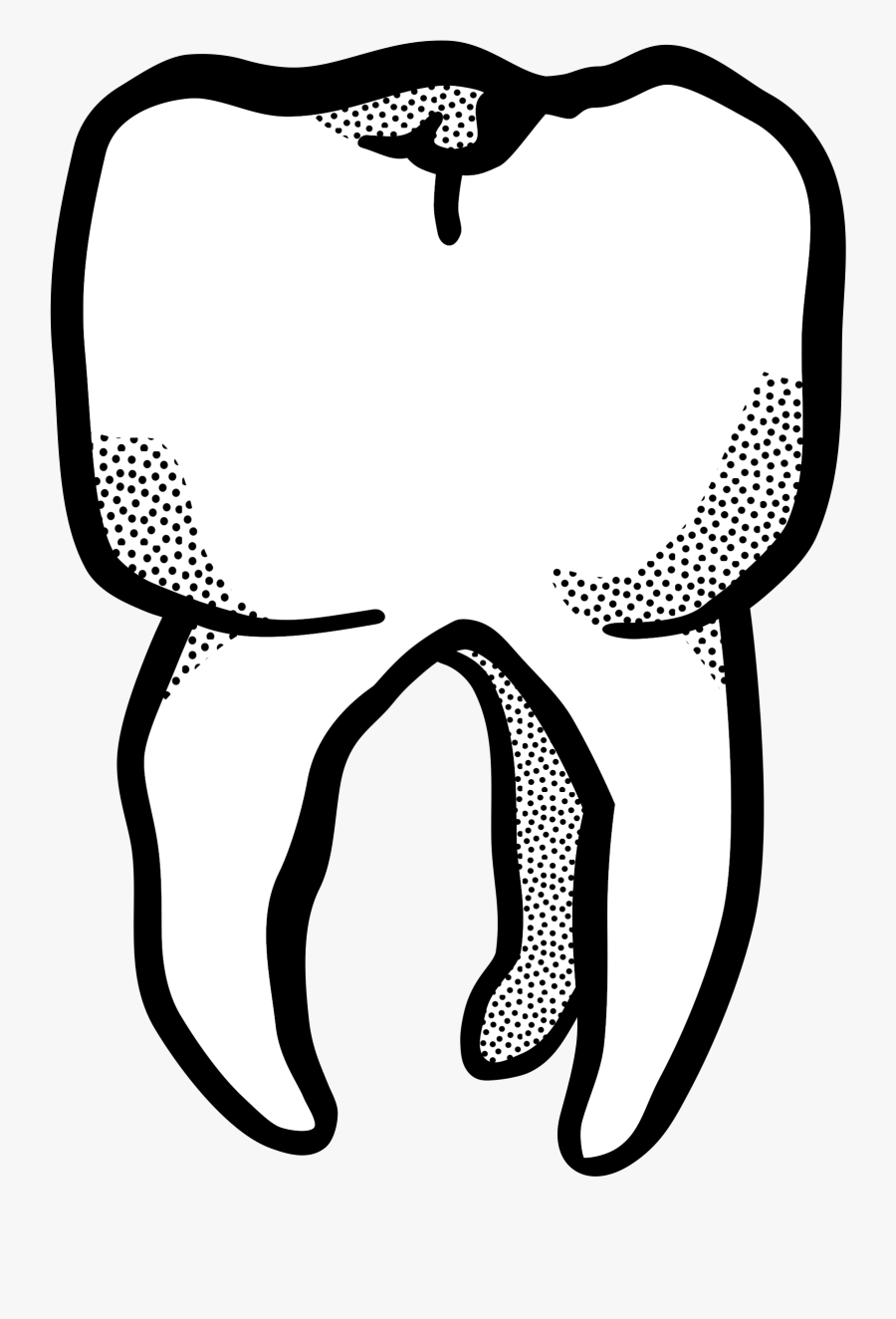 Tooth - Lineart - Tooth, Transparent Clipart