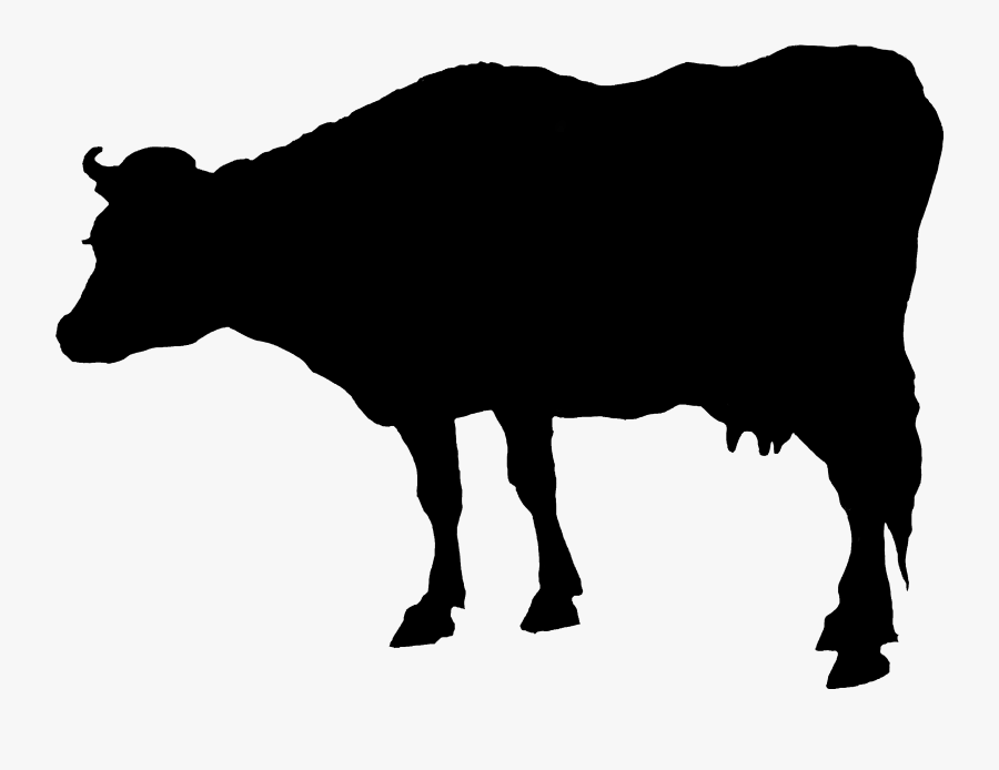 2346 Cow Free Vintage Clip Art➢ Download Images Here - Cattle, Transparent Clipart