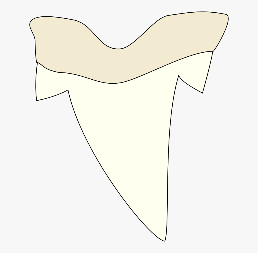 Shark Tooth - Simple Shark Tooth Drawing, Transparent Clipart