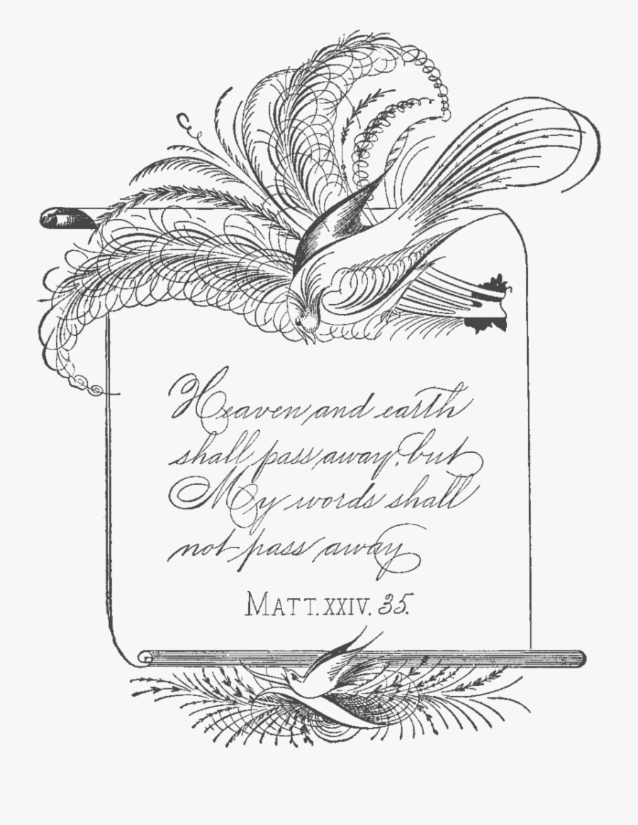 Ssfs Spencerian Calligraphy 1 - Spencerian Script, Transparent Clipart