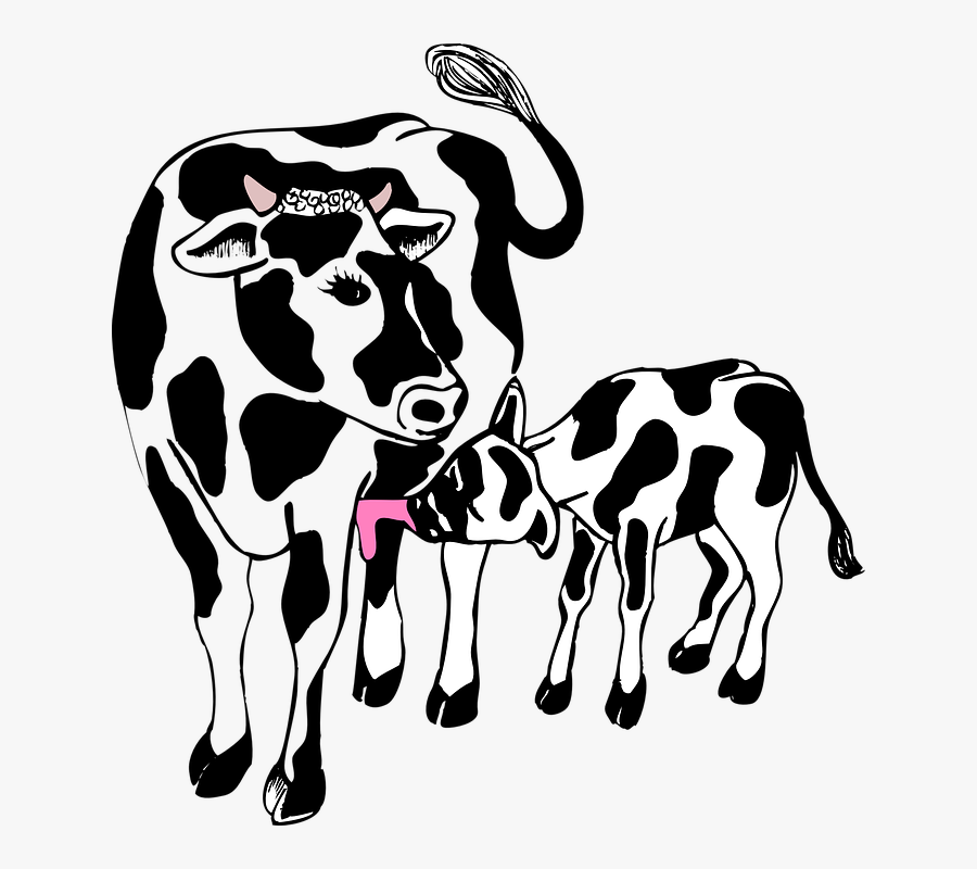 Barn Farm Cow - Cow And Calf Clipart Black And White, Transparent Clipart