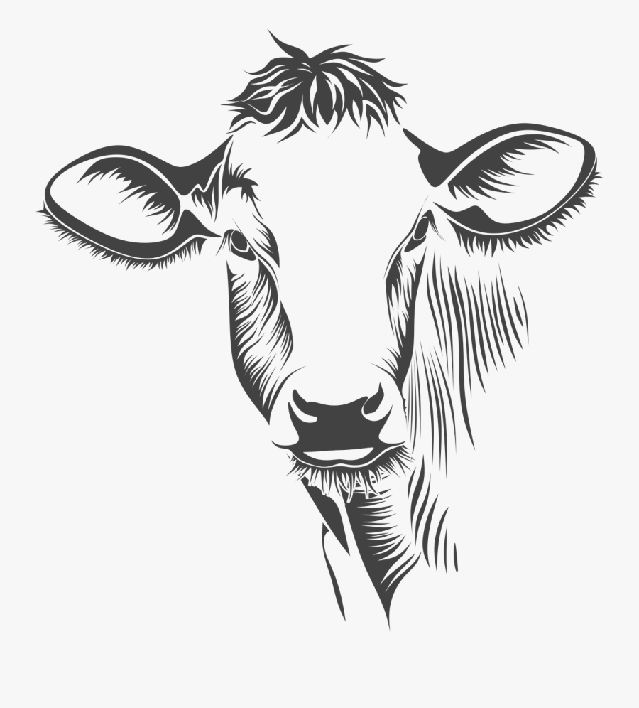 Head,neck,fictional Character - Cow Face Line Art, Transparent Clipart