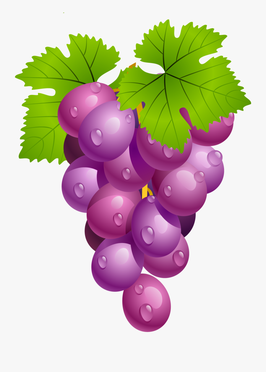 Free Grapes Clipart Preschool - Grapes Clipart Png, Transparent Clipart