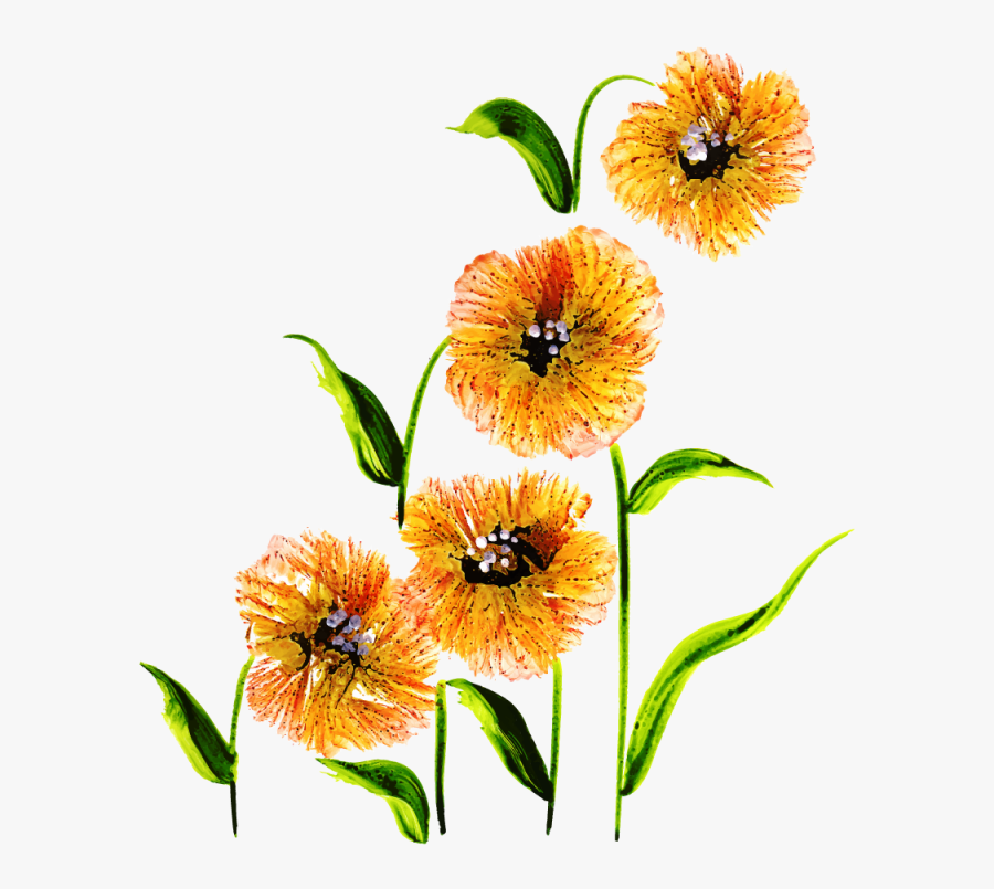 Free Png Floral Bouquets - Lily Family, Transparent Clipart