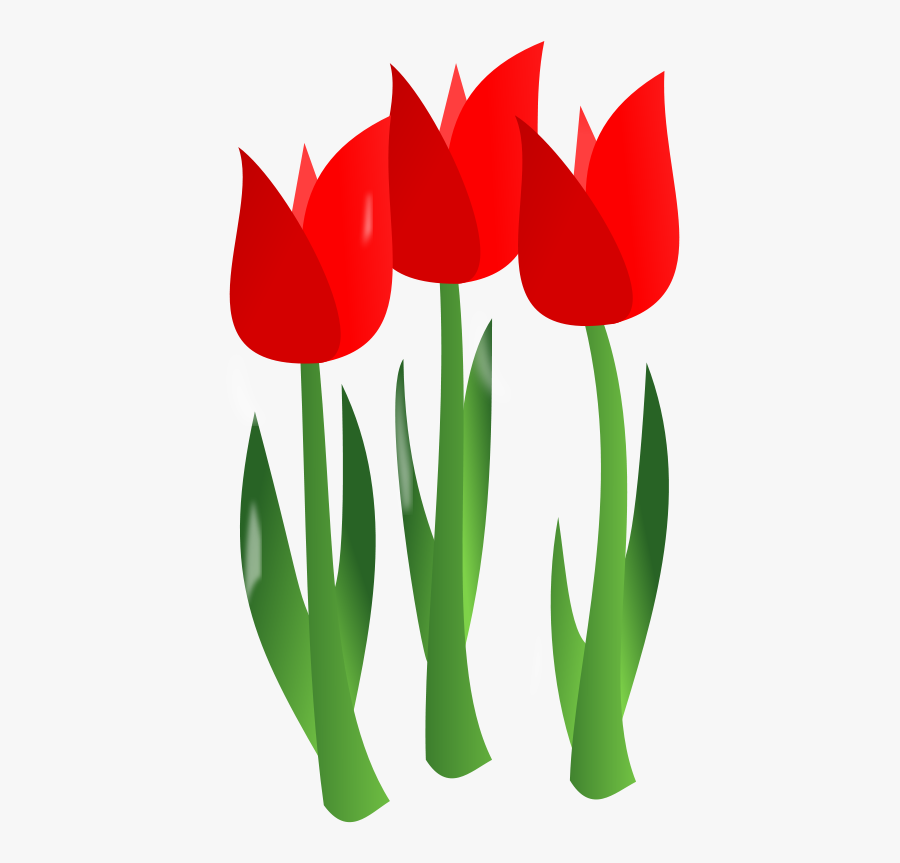 Flowers Ns - Clip Art April Flowers, Transparent Clipart