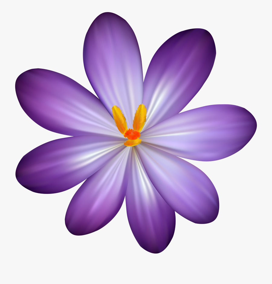 Clip Art Free Purple Flower Clip Art Purple Flower Clipart , Free