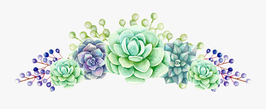 Flower Tea Production In Sri Lanka Succulent Plant - Succulent Flowers Png, Transparent Clipart