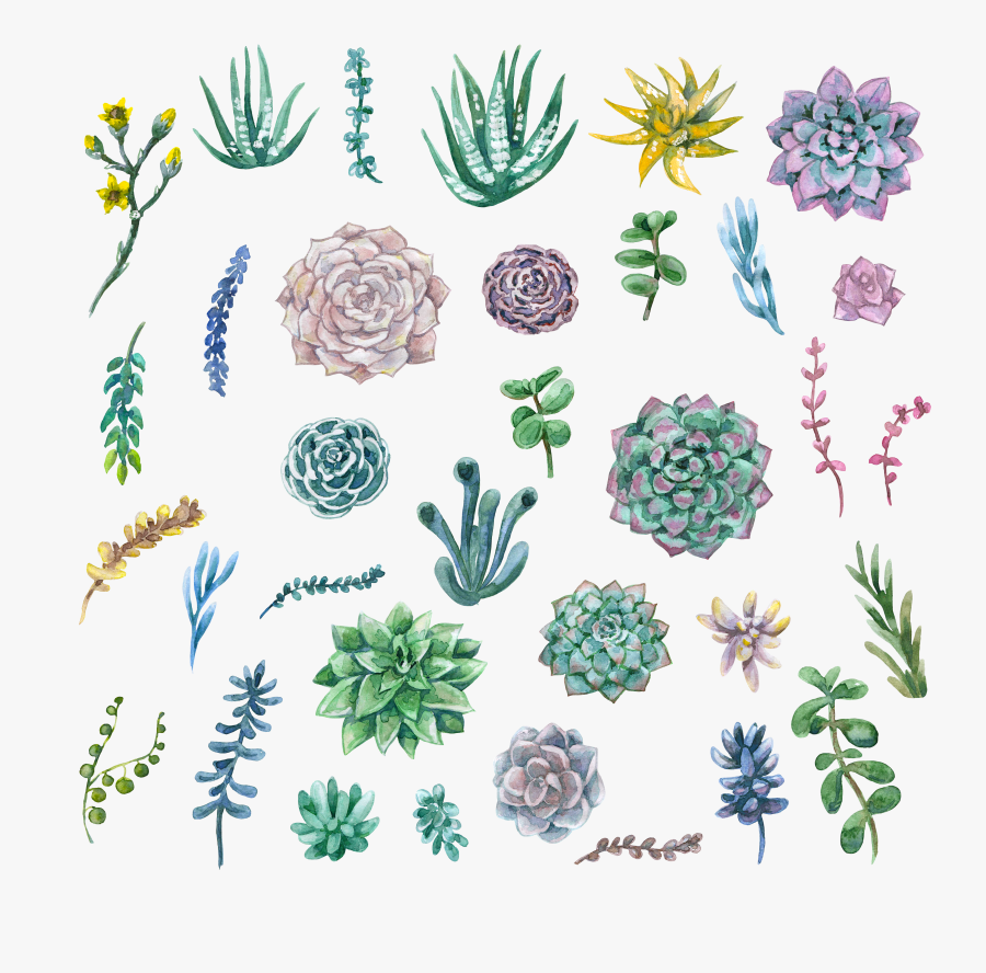 Clip Art Free Succulent Clip Art - Watercolor Succulent Plants Painting, Transparent Clipart