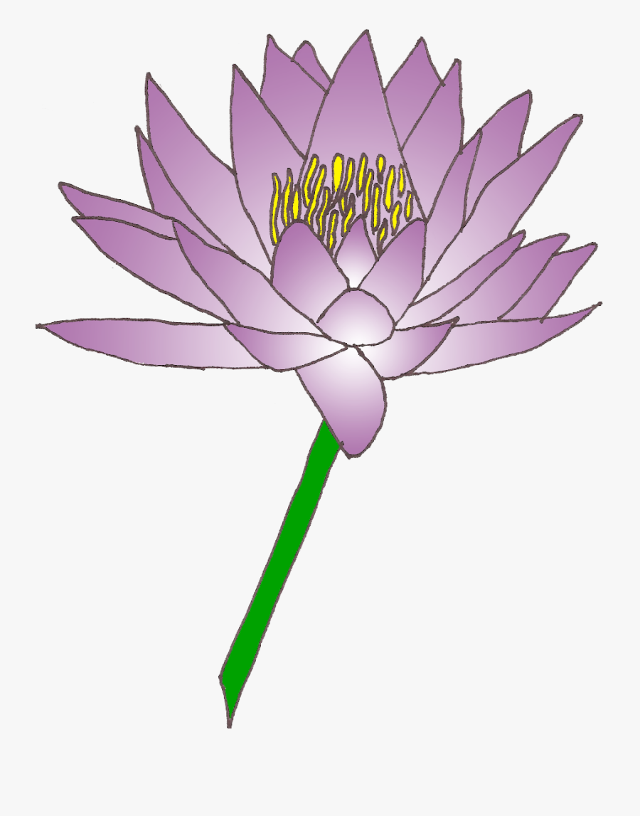 Free Cliparts Download Clip - Free Clip Art Lily Flower, Transparent Clipart
