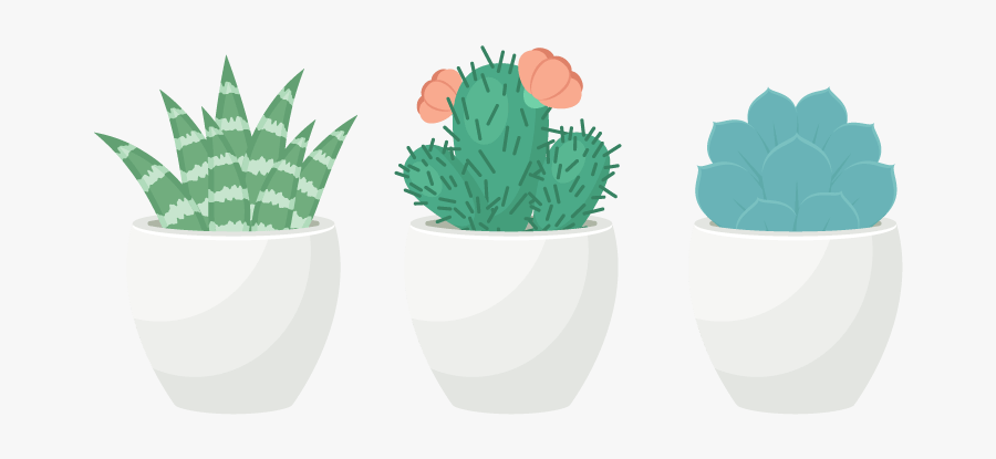 Collection Of Drawing - Transparent Background Succulent Clipart, Transparent Clipart