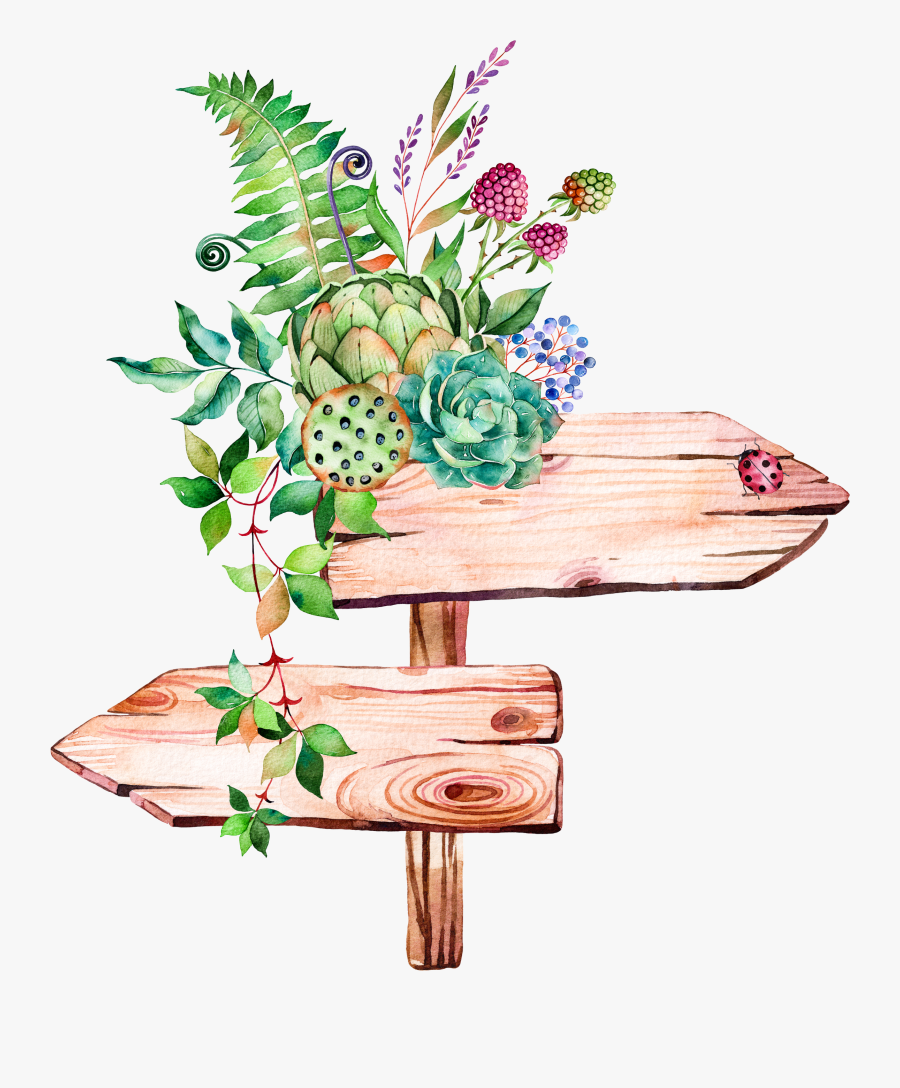 Succulent Plant Illustration Watercolor Signs Painting - Watercolor Succulents Clipart Png, Transparent Clipart