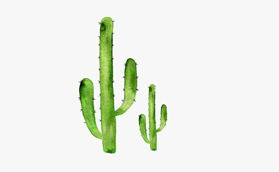 Sticker Art Cactaceae Succulent Plant Redbubble - Watercolor Cactus Clipart Transparent, Transparent Clipart