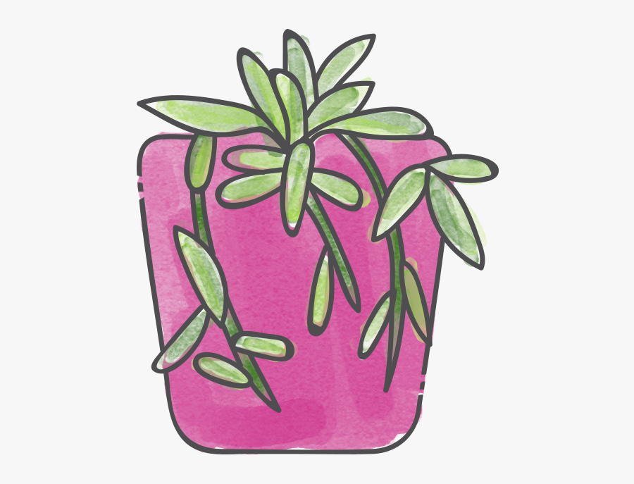 String Of Bananas - Common Peony, Transparent Clipart