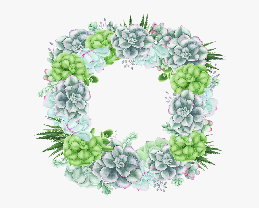 Succulent Rectangular, Cactus, Cacti, Floral, Plant - Hydrangea, Transparent Clipart