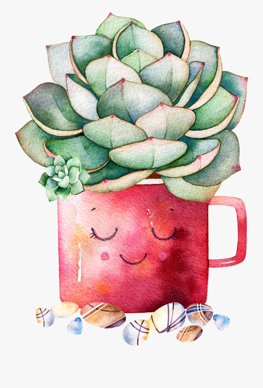 Transparent Succulent Png, Transparent Clipart