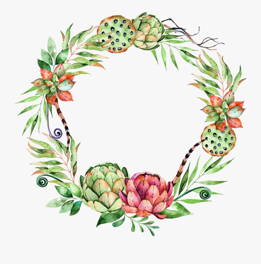 Svg Library Stock Flower Plant Wreath Illustration Watercolor Succulent Wreath Free Transparent Clipart Clipartkey