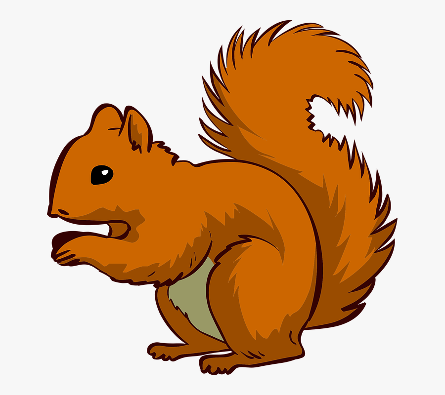 Squirrel,clip Art,cartoon,eurasian Red Squirrel,tail,animal