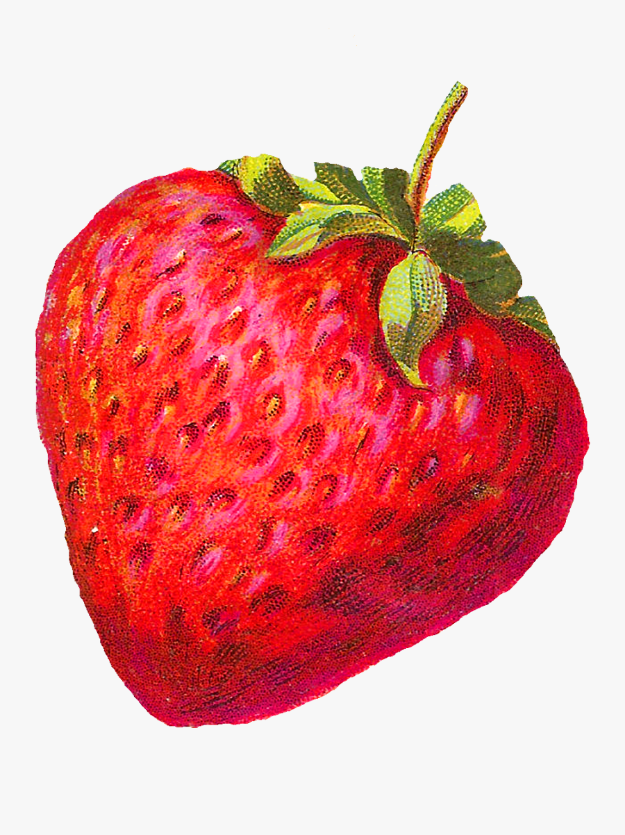 The Fruit Images Would Be Awesome Design Elements For - Vintage Strawberry Clip Art, Transparent Clipart