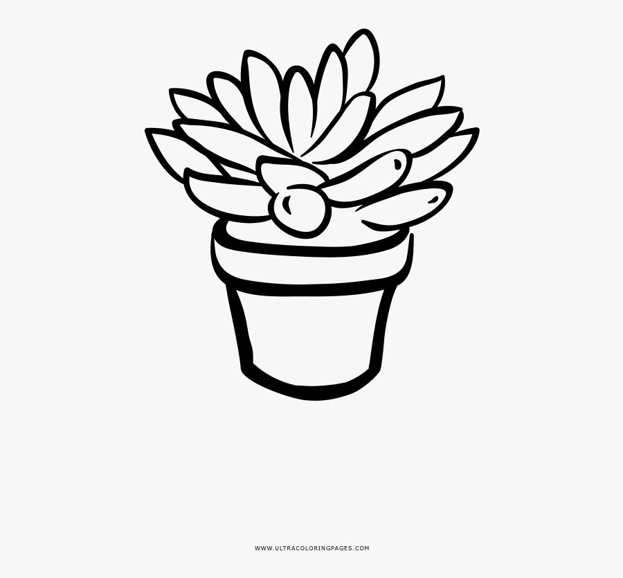 food-coloring-succulents-coloring-pages