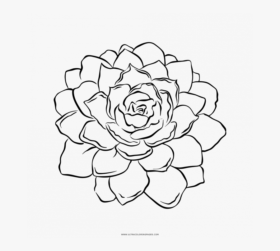 Line Art, Transparent Clipart