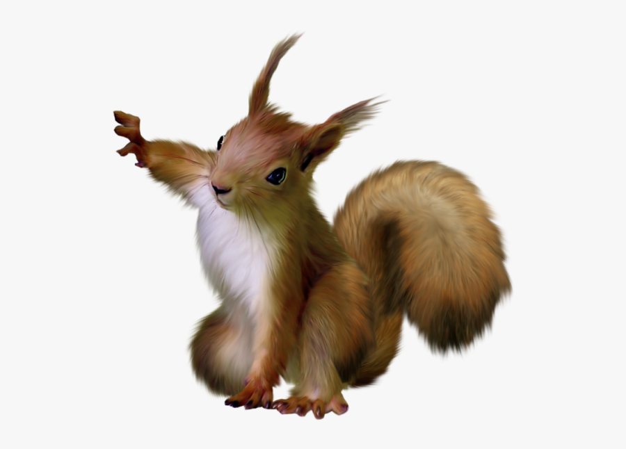 Painted Squirrel Clipart - Red Squirrel Transparent Background, Transparent Clipart