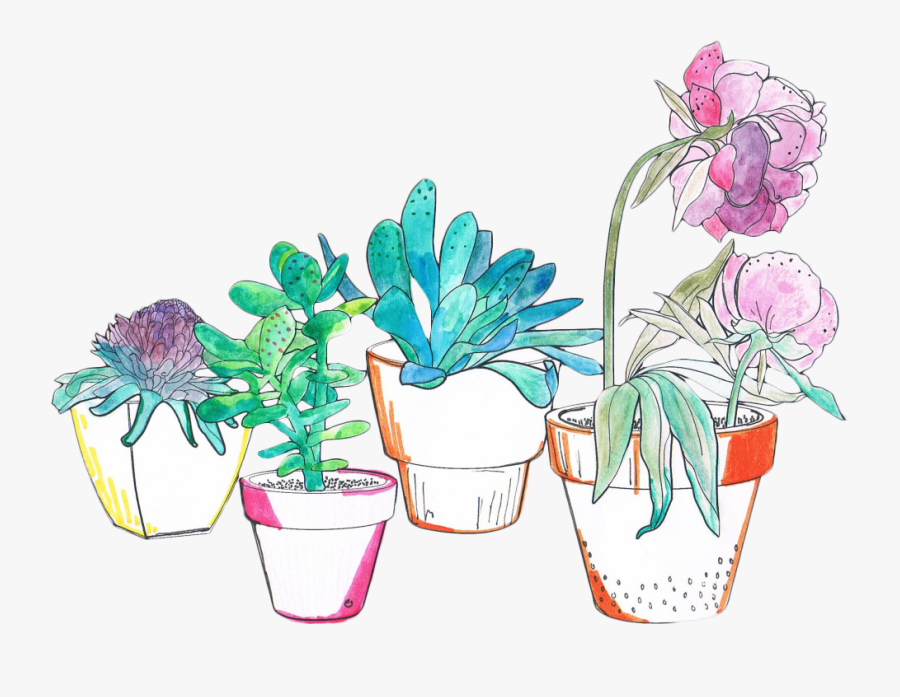#succulent #watercolor #green #pink #flower - Aesthetic Watercolor Flowers Png, Transparent Clipart