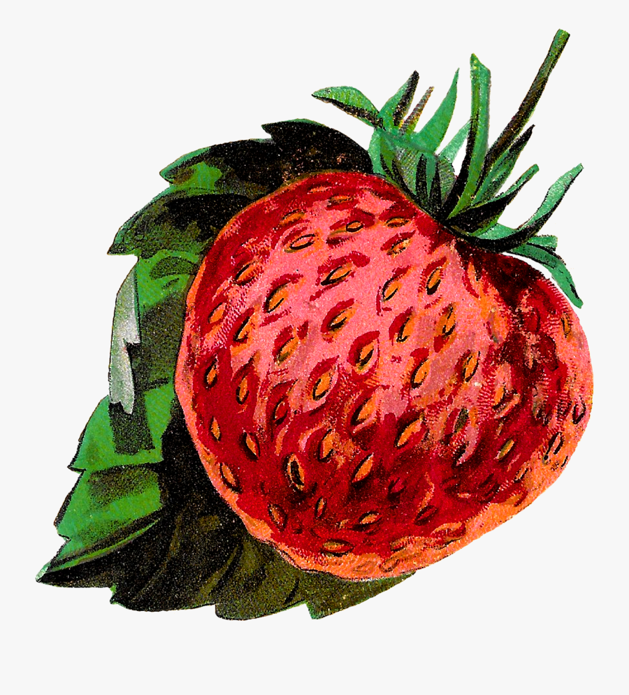 Strawberry, Transparent Clipart