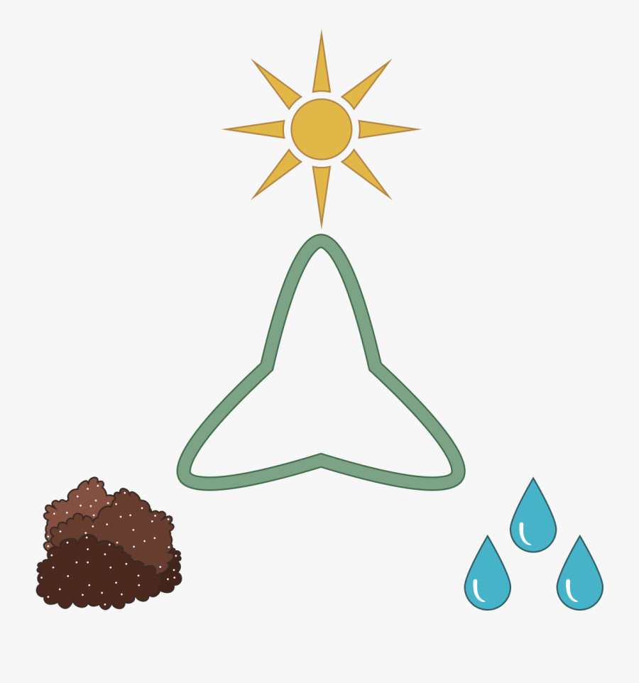 Succulent Soil Drainage Factors, Transparent Clipart