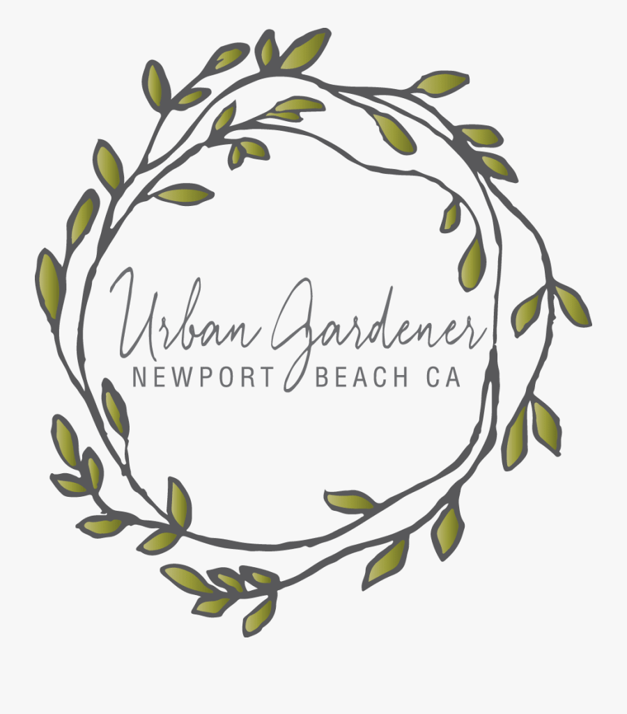 Newport Beach, Ca Florist, Transparent Clipart