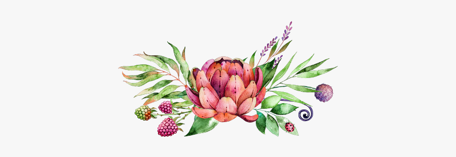 Protea Flower Clip Art, Transparent Clipart