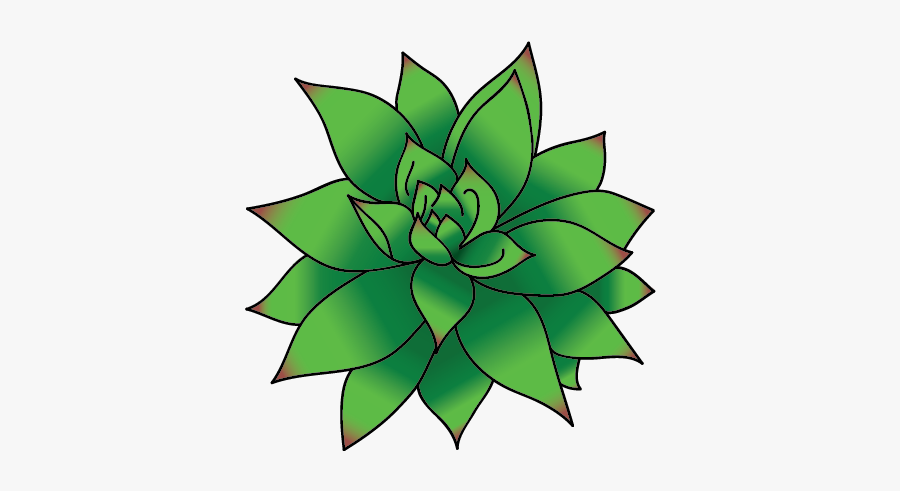 Succulent Clip Art Png, Transparent Clipart