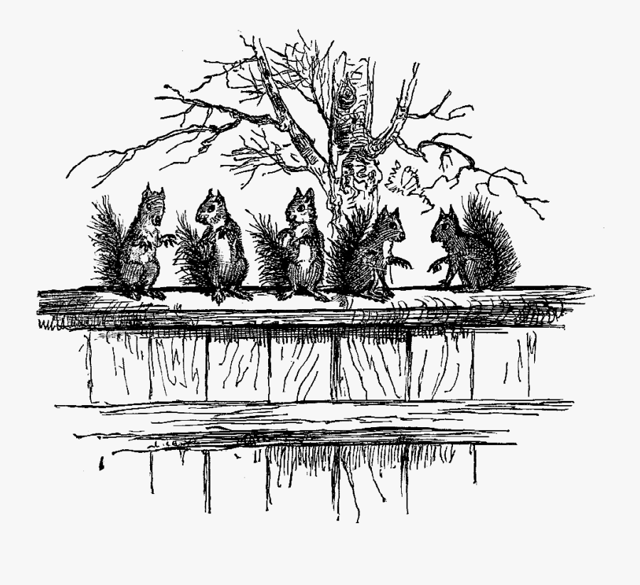 Squirrel Image Fence Tree Illustration - Illustration, Transparent Clipart